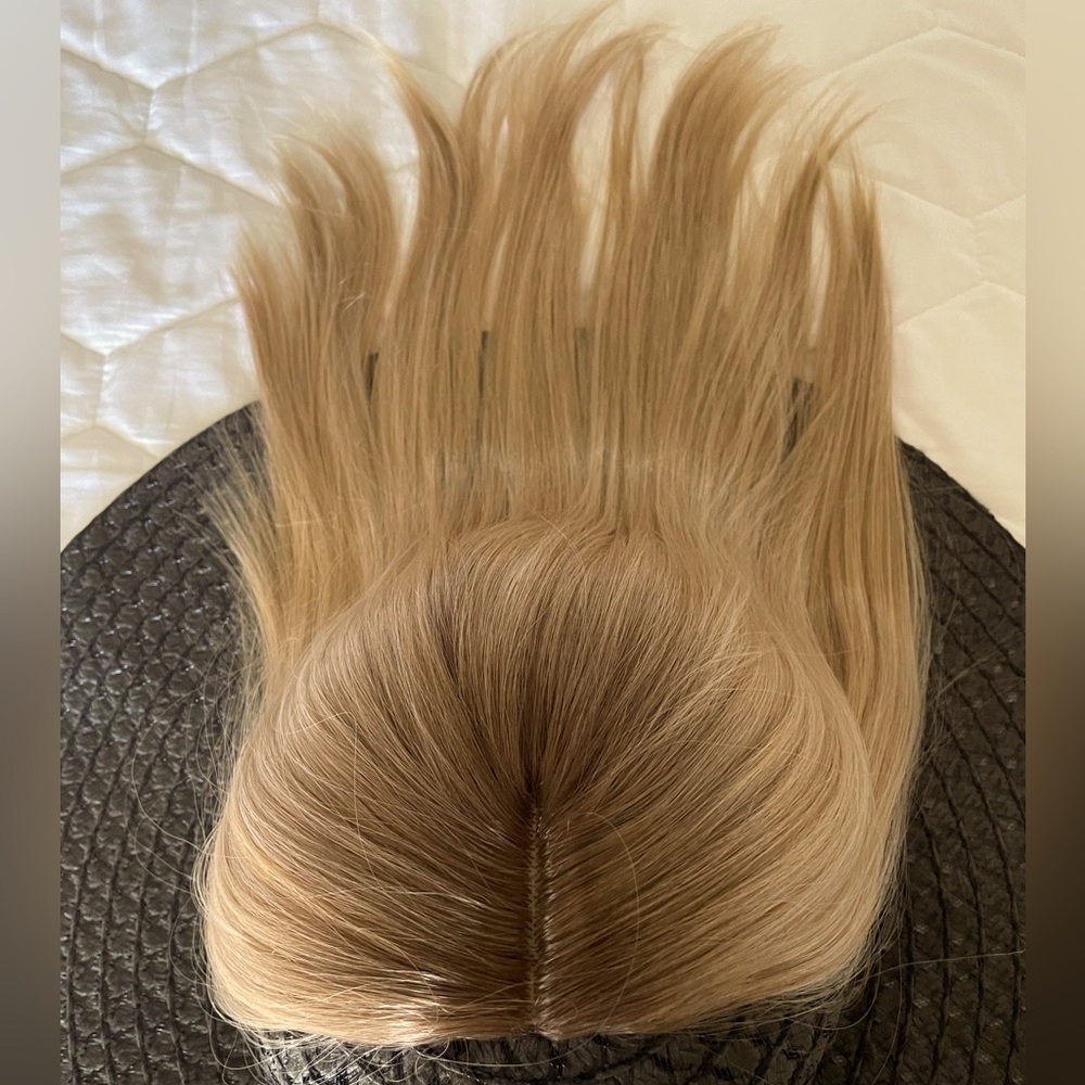 New hair topper NWOT